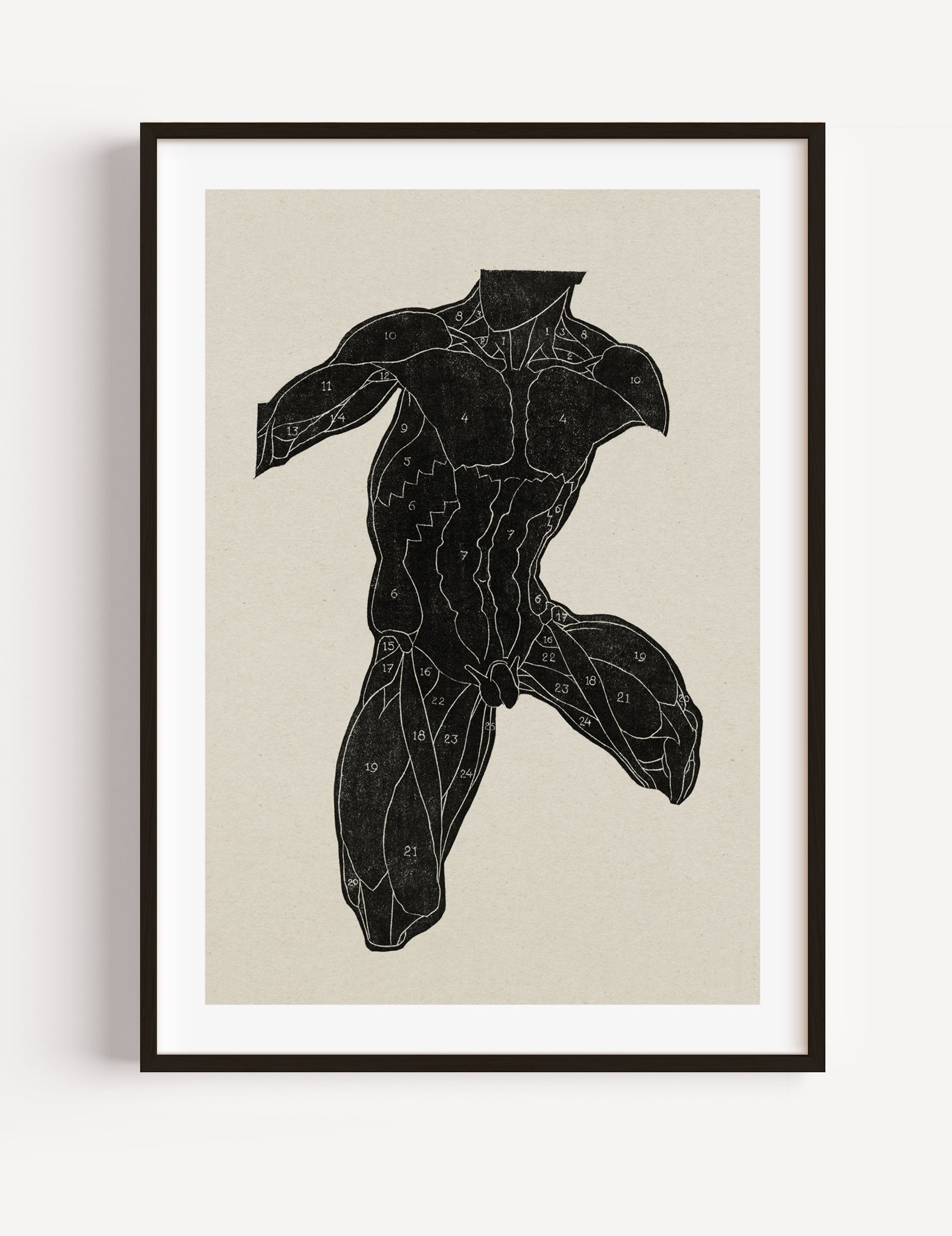 Anatomical study (1906)  by Reijer Stolk poster