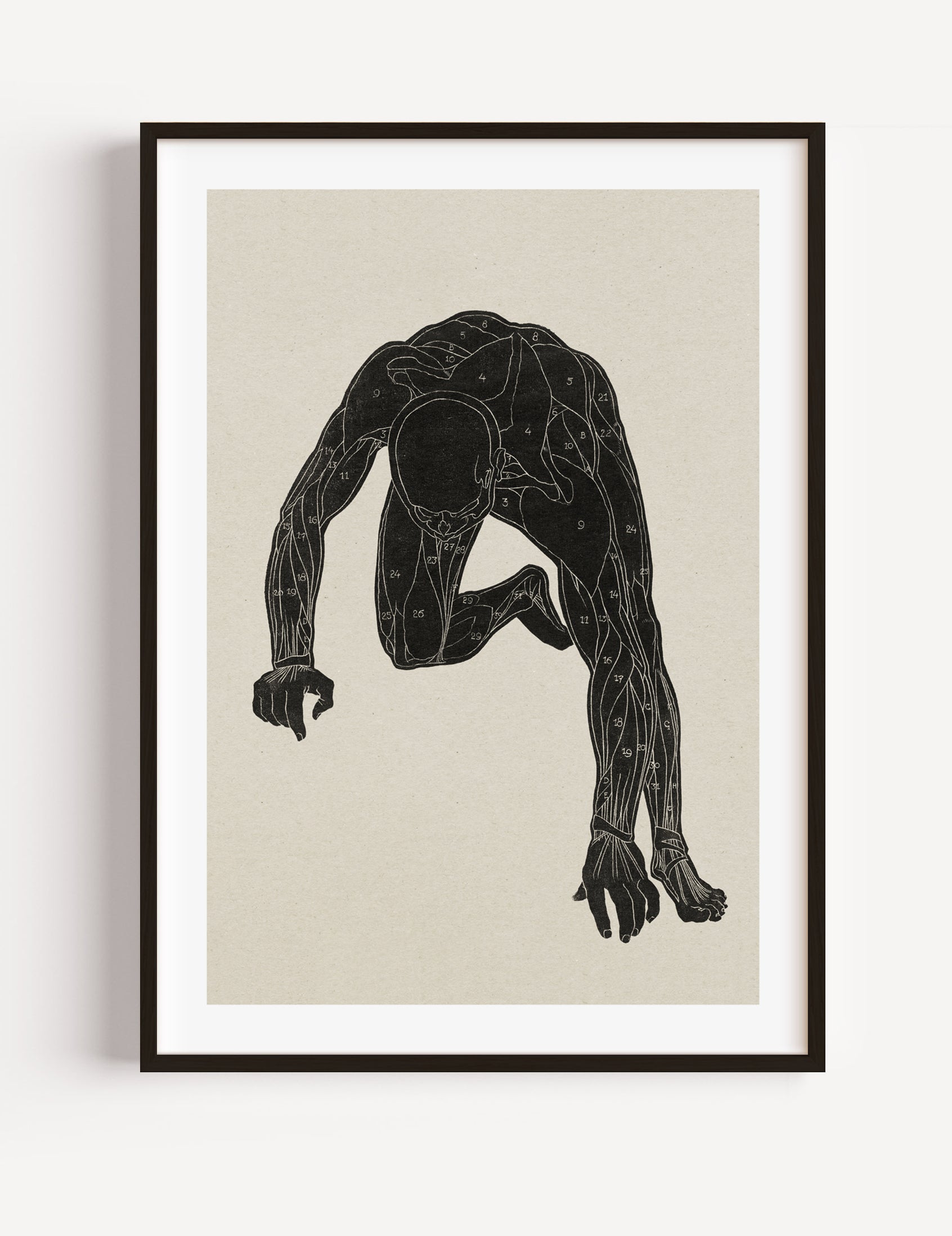 Anatomical study II (1906)  by Reijer Stolk poster